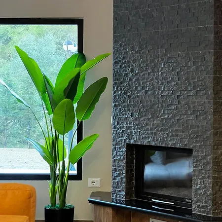 Aries Albania * Vorë