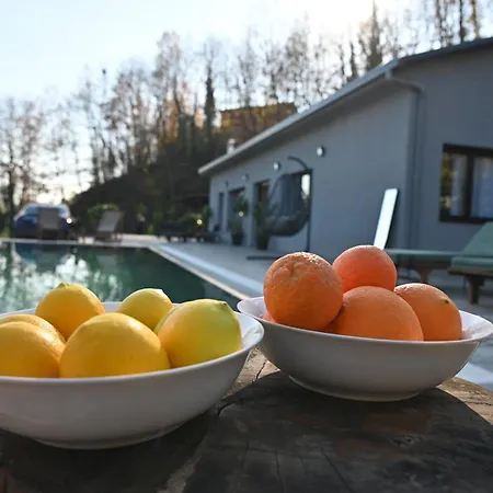 Villa Aries Albania Vorë