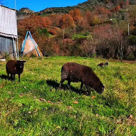 别墅 Aries Albania *