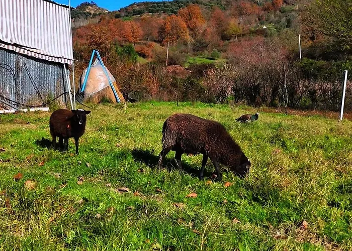 别墅 Aries Albania *